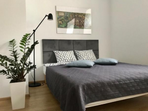Poznan Rents - Apartamenty Stare Miasto parking gratis